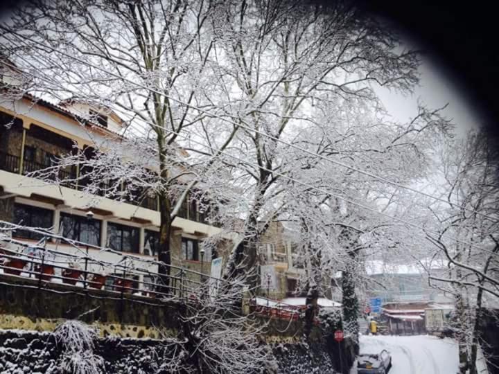 Mountain Rose Hotel & Restaurant Pedhoulas Eksteriør bilde